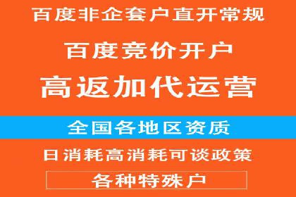 百度竞价代理的投放技巧与效果评估案例
